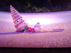 -万达影城(IMAX激光铁西万达广场店)