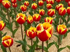 -公益图书馆(江南大学店)