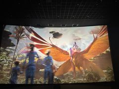 -万达影城(大明宫万达广场IMAX店)