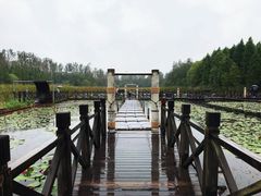 -溱湖国家湿地公园