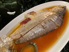 -蝶园·装修中(BFC外滩金融中心店)