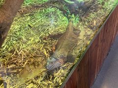 -海合安武汉极地海洋公园