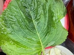 -小院地摊烤肉