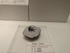 -天津自然博物馆