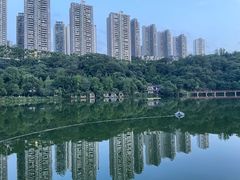 -重庆彩云湖湿地公园