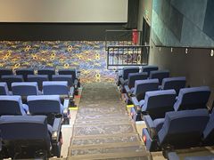 -龙之星国际影城(太平店)