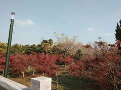 -嘉北郊野公园