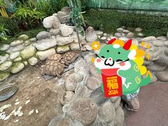 -南宫五洲植物乐园