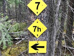 -阿萨巴斯卡瀑布观景点