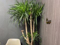 -鑫意棋牌会所(长寿路智慧广场店)