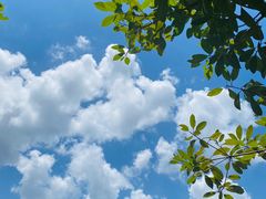 -雅鲁激流探险漂流