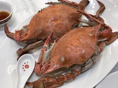 -万宝海鲜舫(劳动公园店)