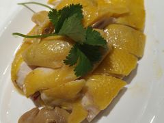 -明本湛江鸡•海鲜小厨(陈家祠店)