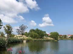 -上海长兴岛郊野公园