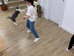 -李小姐の猫咖啡馆(五角场店)