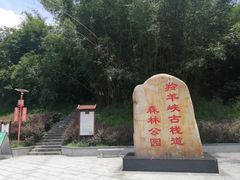 -羚羊峡古栈道森林公园