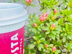 -COSTA COFFEE(上海虹口公园店)