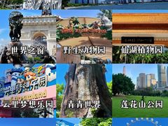 -云里梦想乐园