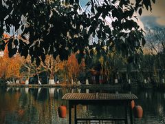 -翠湖公园