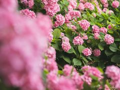 -上海滨江森林公园