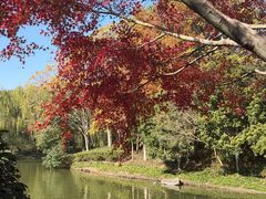 -杭州城北体育公园