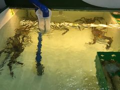 -無招牌海鮮(芽笼店)