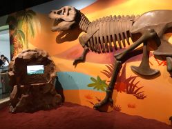 -北京科学中心儿童乐园