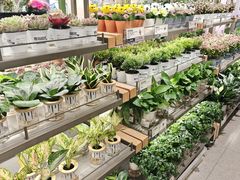 -鹿岛生活(熙地港店)