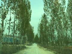 -红石寨旅游度假区