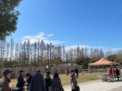 -前小桔亲子创意农场·草莓采摘·露营烧烤