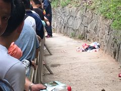 -洛阳白云山景区