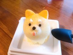 -柴犬高等学院·狗咖·柴犬售卖·宠物训练