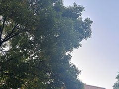 -艾溪湖湿地公园