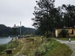 -海南热带雨林国家公园吊罗山景区