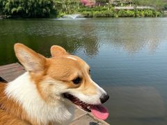 -重庆彩云湖湿地公园
