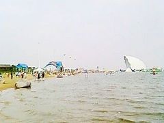 -碧海金沙