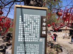 -水峪民俗村