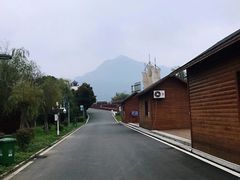 -后柳水乡