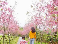 -福建鲤鱼洲酒店
