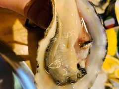 -囧吉香生蚝牛排馆(湖北路店)