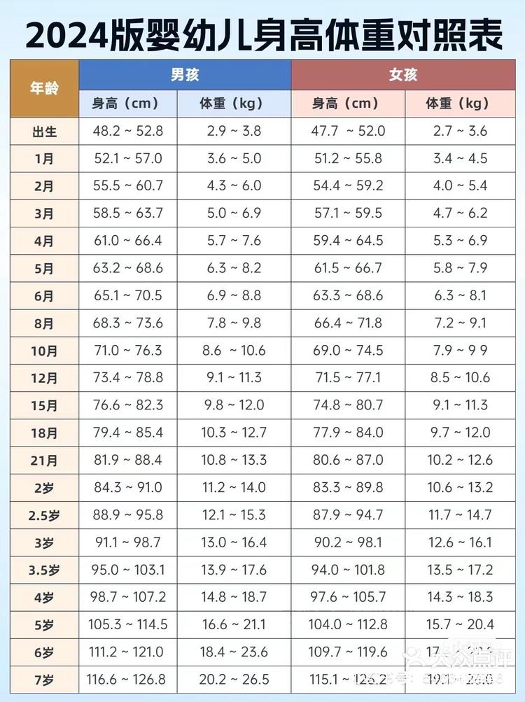 80厘米有多长示意图图片