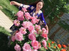 -黄金博物馆