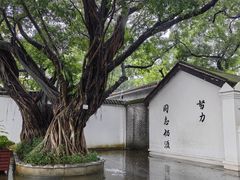 -长洲岛