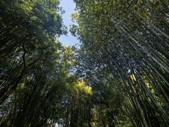 -英西峰林·洞天仙境