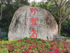 -野狸岛