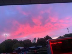 -罗卜李包子羊肉汤