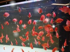 -趣陶陶艺手工坊(新世界百货重庆店)