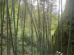 -崀山风景名胜区