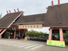 -野生动物园-停车场