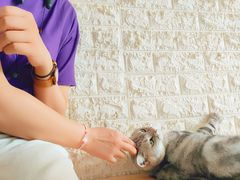 -平行世界·猫咖(首经贸店)
